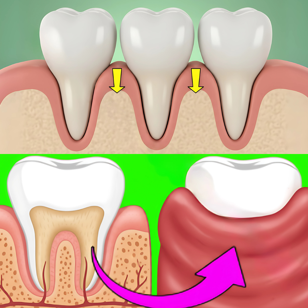 Gumvera Gum Protect Repair Toothpaste